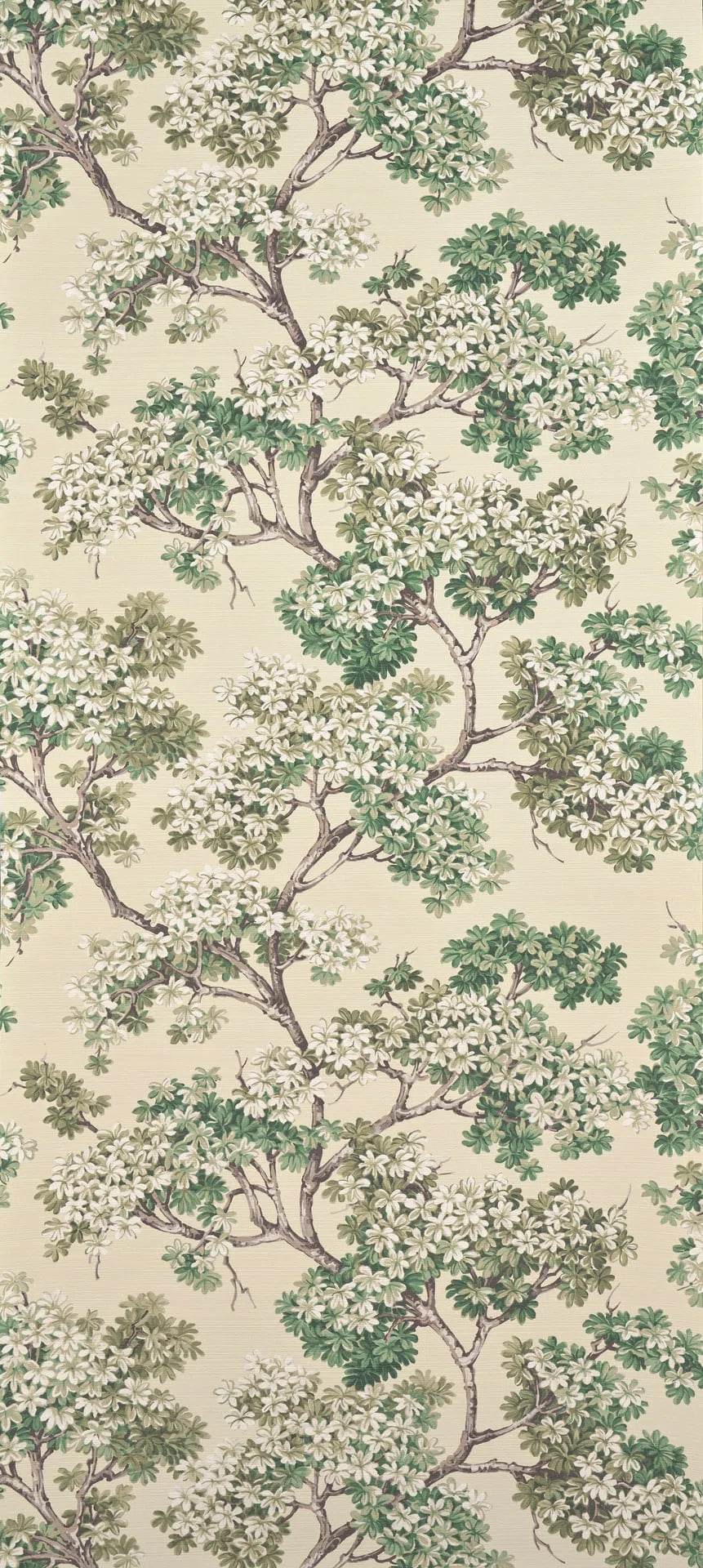 Courtine wallpaper in FIN D'ETE