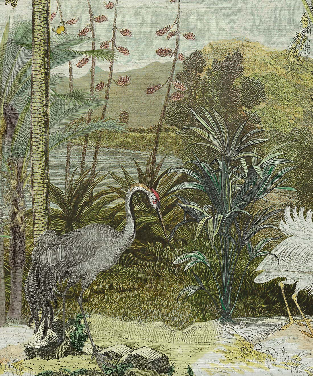 South Asian Subcontinent Grasscloth Mural - Image 5