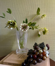 Load image into Gallery viewer, Sage Garden Grasscloth Wallpaper - Fable Collection by M&amp;K Studios - Insitu
