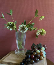 Load image into Gallery viewer, Faded Rose Grasscloth Wallpaper - Fable Collection by M&amp;K Studios - Insitu