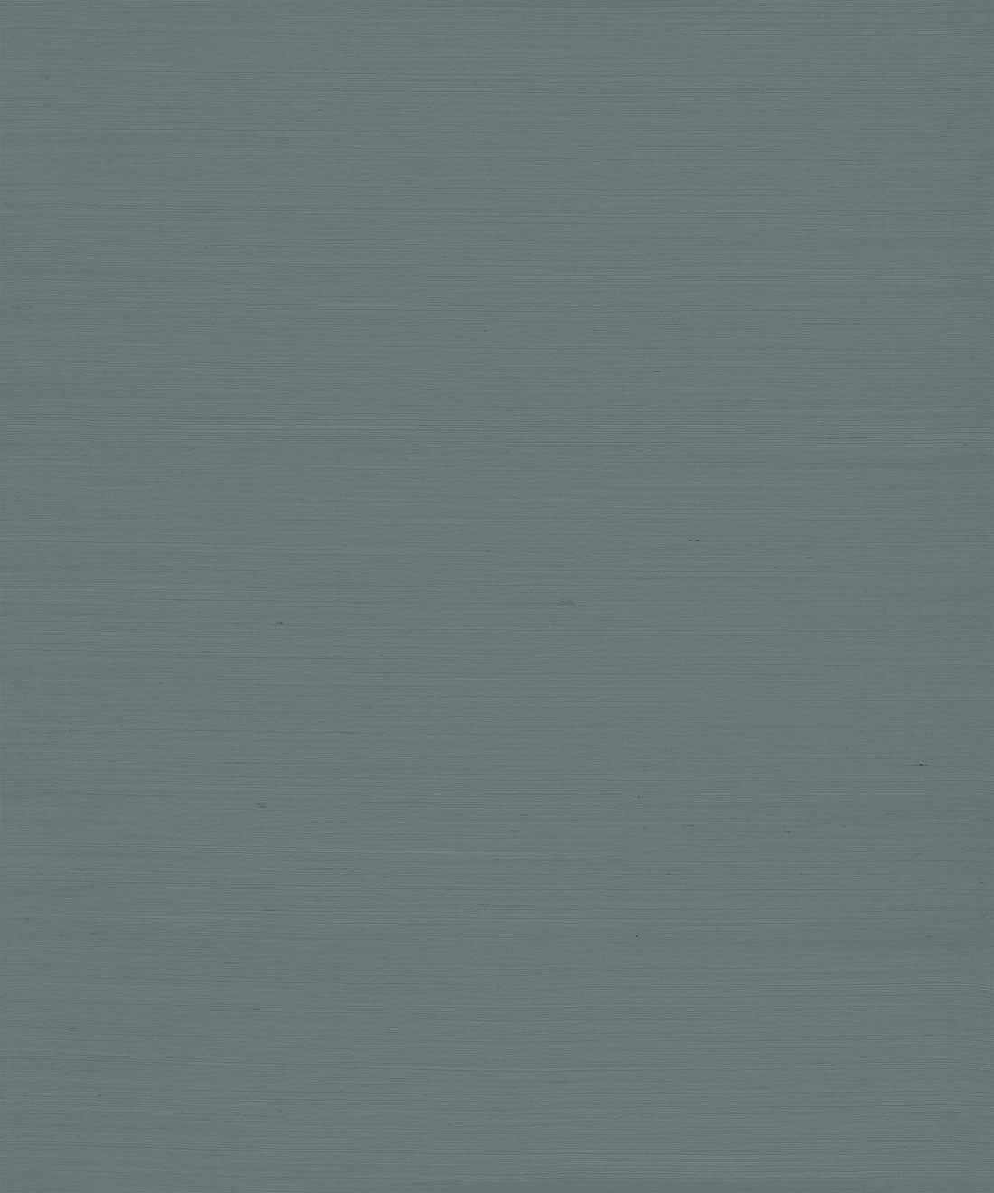 Atlantic Grasscloth Wallpaper - Swatch