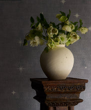 Load image into Gallery viewer, Southern Skies Grasscloth Wallpaper - Colorway: Blue - Pattern Play Collection - Insitu