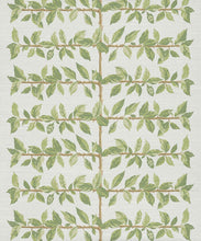 Load image into Gallery viewer, Pergola Grasscloth Wallpaper - Colourway: Chartreuse - Swatch
