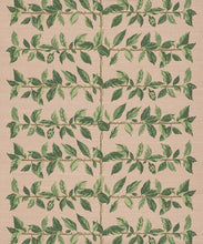 Load image into Gallery viewer, Pergola Grasscloth Wallpaper - Colourway: Dusky - Swatch