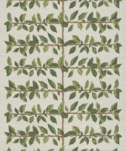 Load image into Gallery viewer, Pergola Grasscloth Wallpaper - Colourway: Fern - Swatch