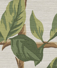Load image into Gallery viewer, Pergola Grasscloth Wallpaper - Colourway: Fern - Insitu