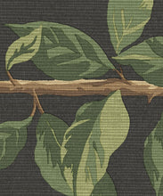 Load image into Gallery viewer, Pergola Grasscloth Wallpaper - Colourway: Night - Insitu