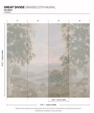 Load image into Gallery viewer, Great Divide Grasscloth Mural • Day Break • Swatch
