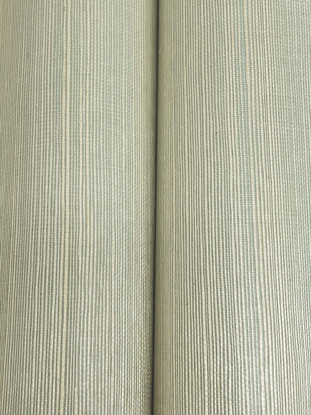 Maguey Sisal