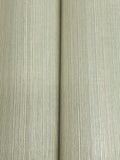 Maguey Sisal