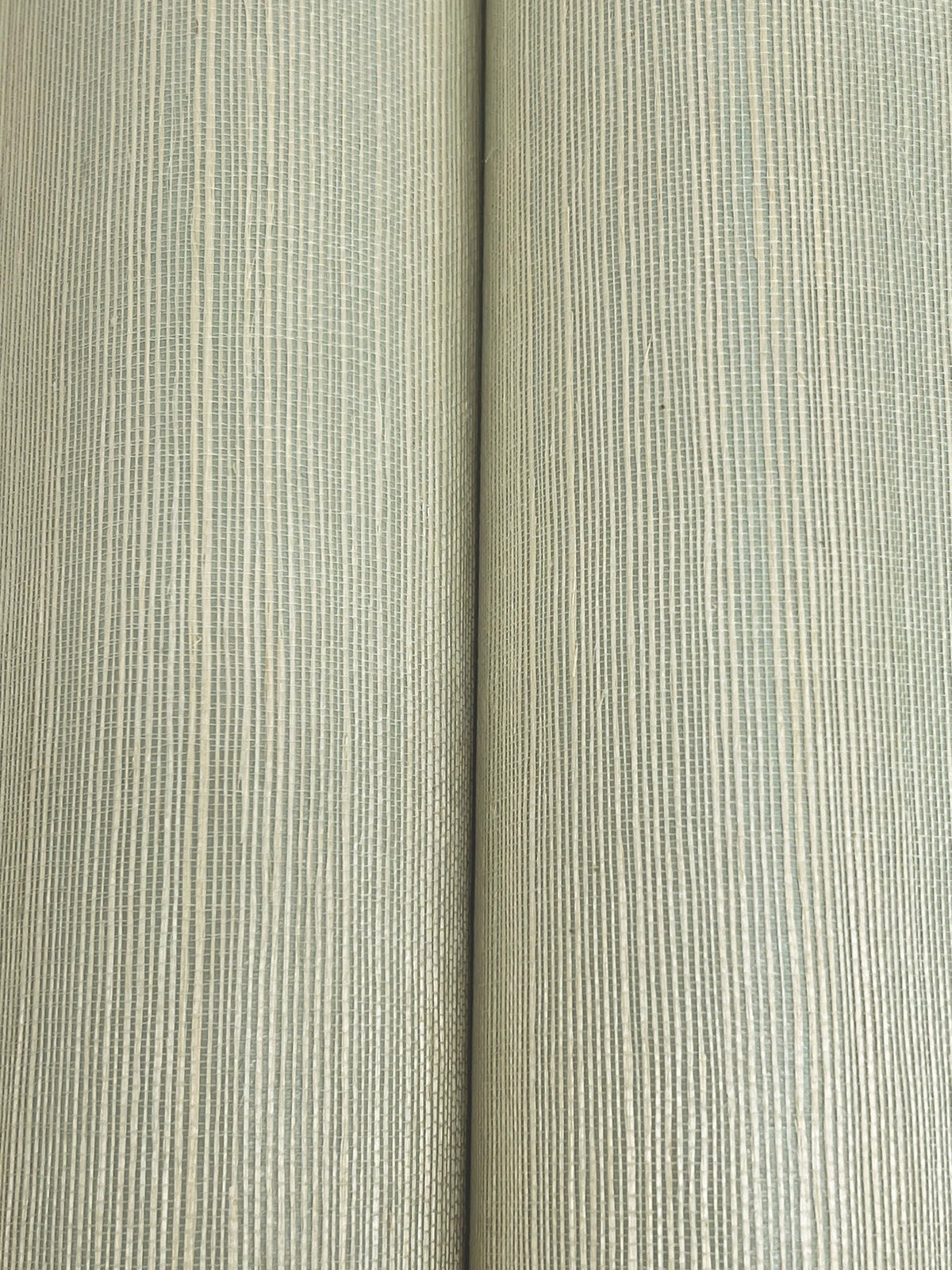 Maguey Sisal