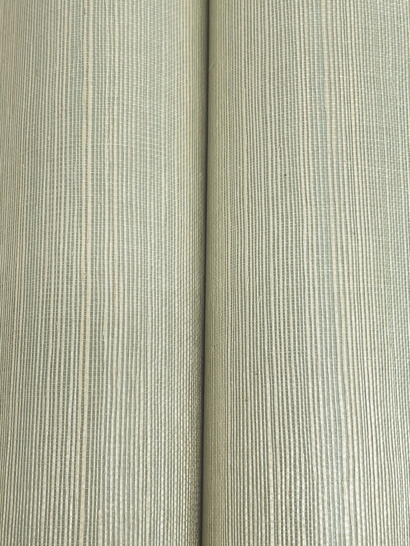 Maguey Sisal