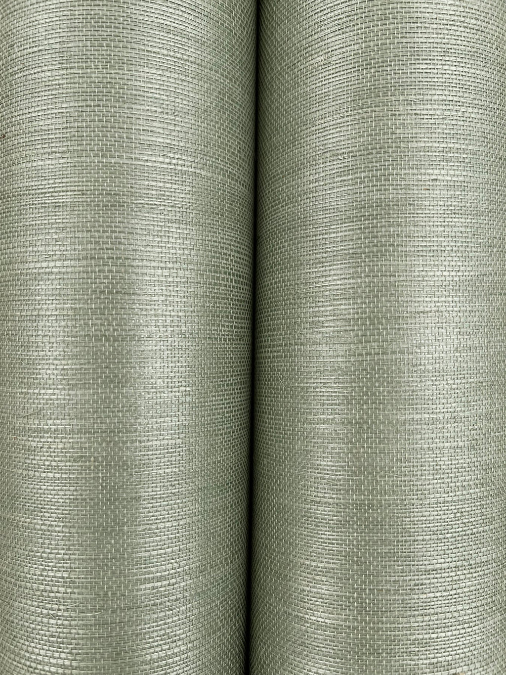 Maguey Sisal