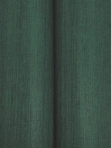 Maguey Sisal