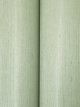 Load image into Gallery viewer, Maguey Sisal