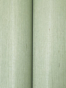 Maguey Sisal