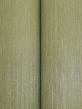 Load image into Gallery viewer, Maguey Sisal