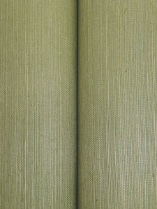 Maguey Sisal