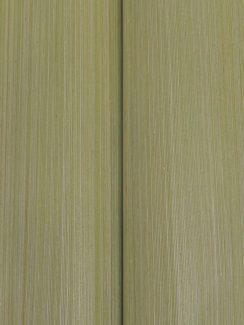Smooth Abaca