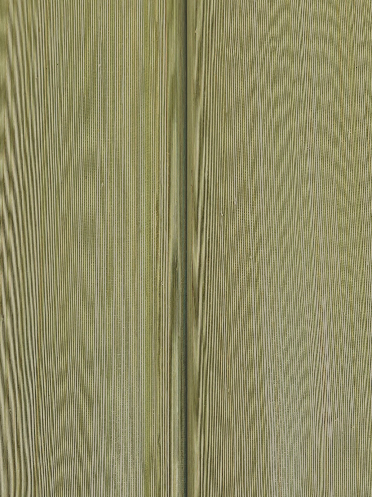 Smooth Abaca