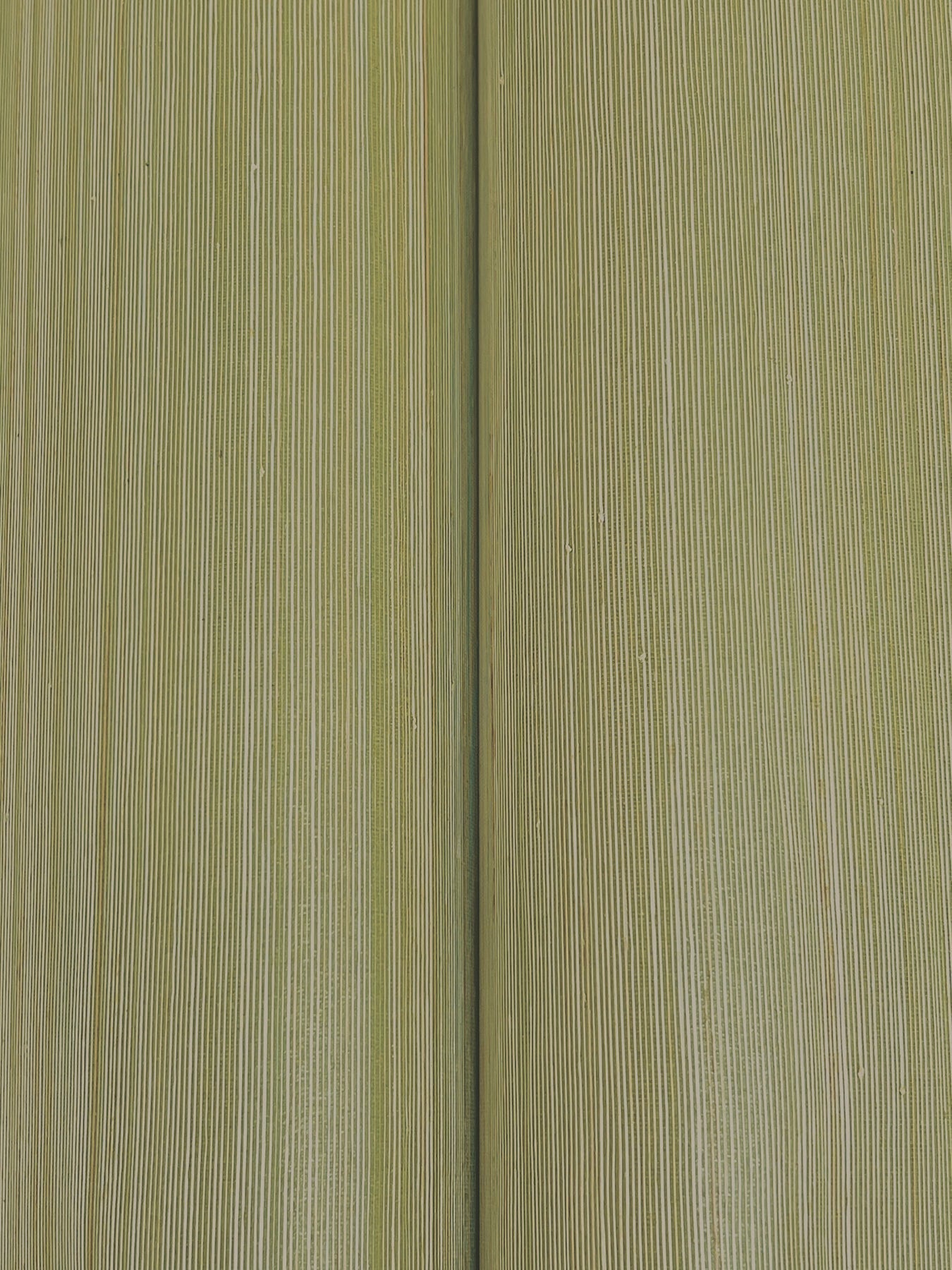 Smooth Abaca