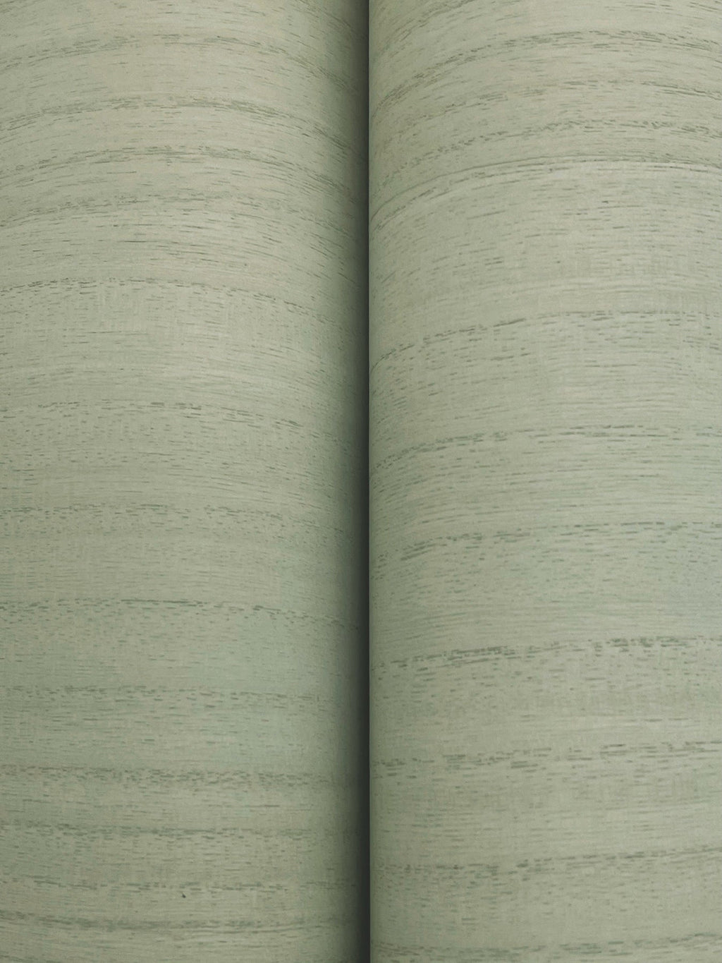 Wood Veneer