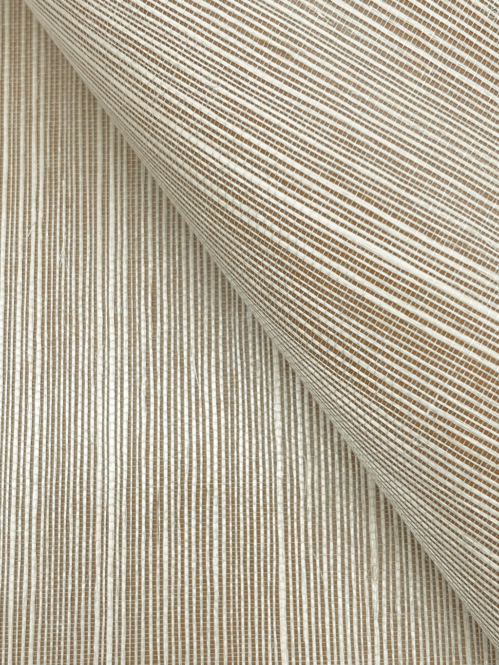 Maguey Sisal