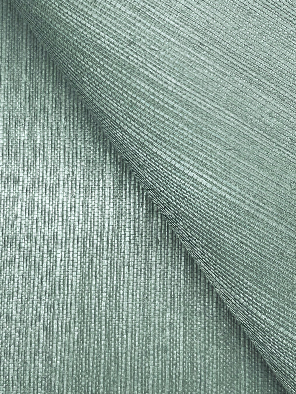 Maguey Sisal