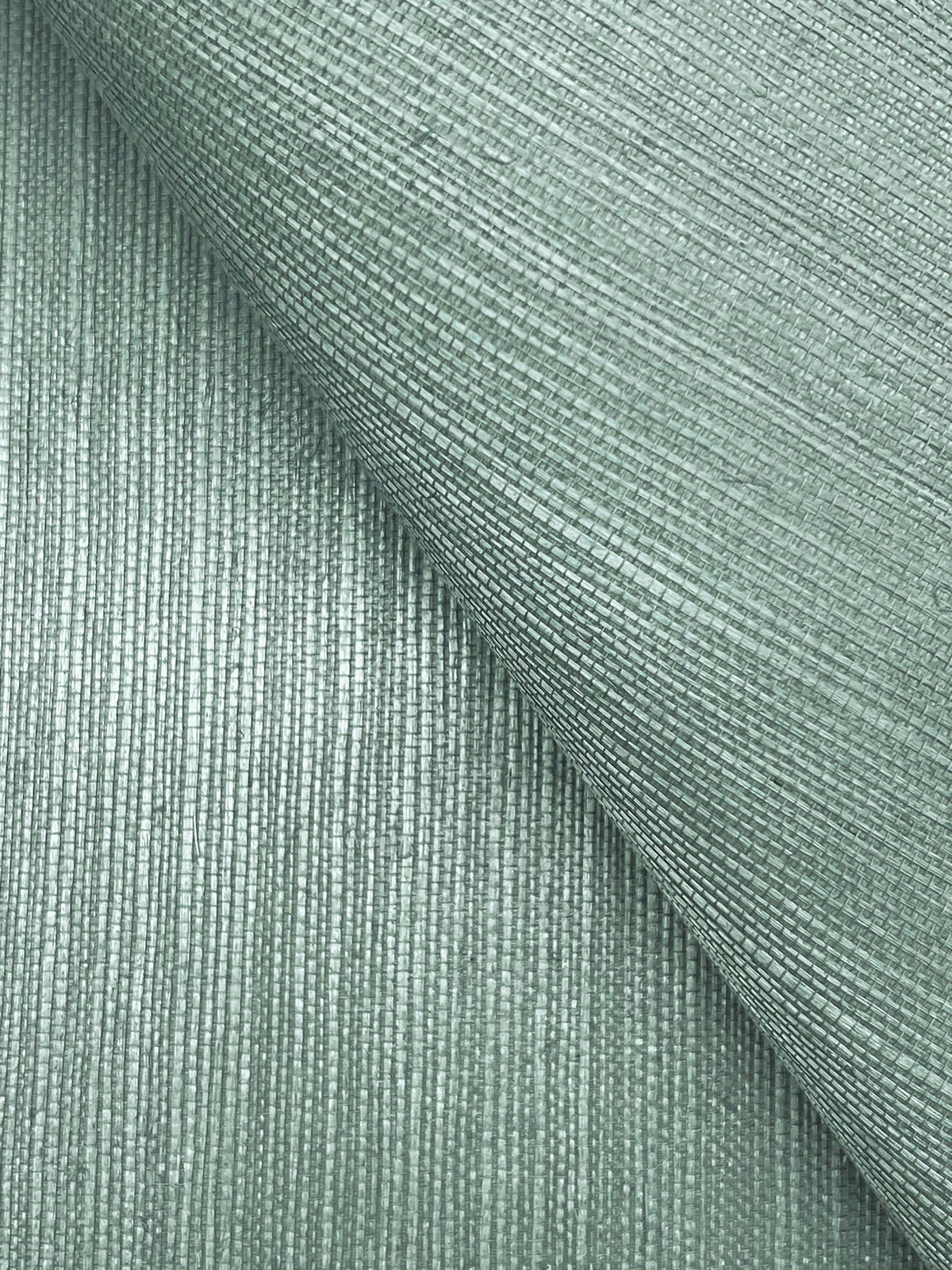 Maguey Sisal