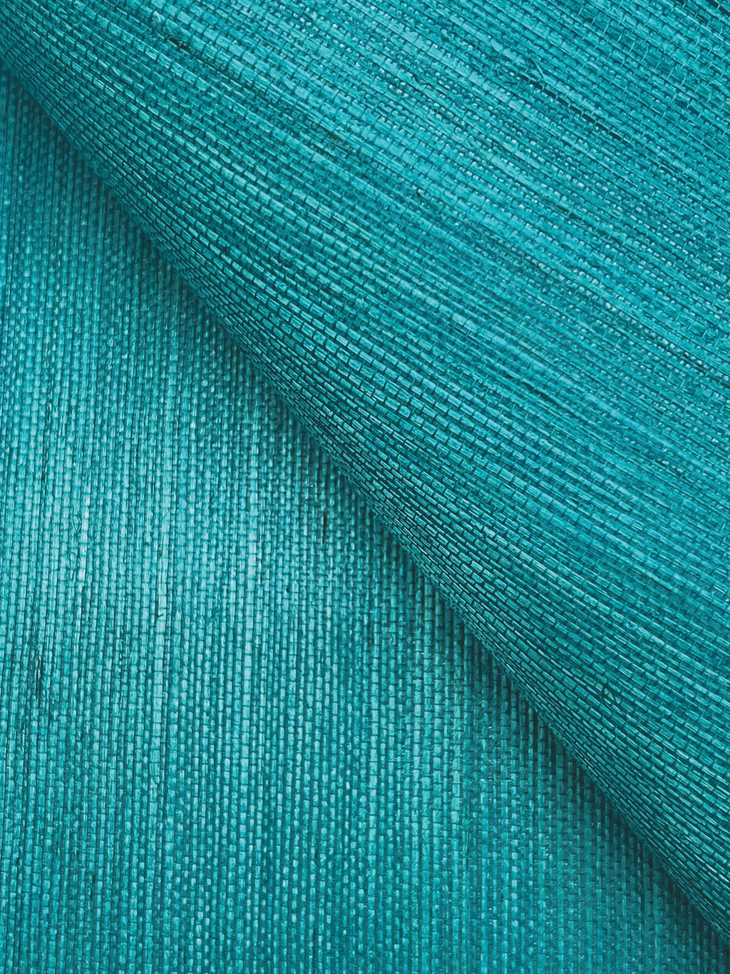 Maguey Sisal