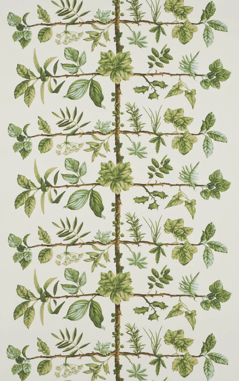 Wallpaper espalier wallpaper in Foin