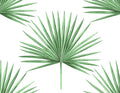 PACIFIC PALM PEEL AND STICK WALLPAPER