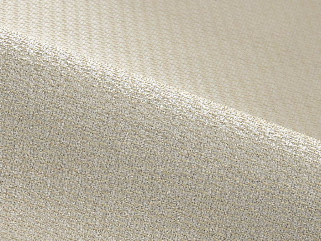 Antonio wallpaper in CORDE