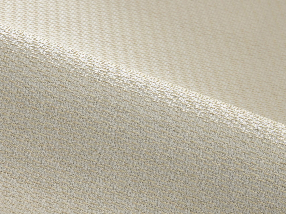 Antonio wallpaper in CORDE
