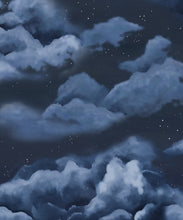 Load image into Gallery viewer, Heavenly Wallpaper • Night • Swatch