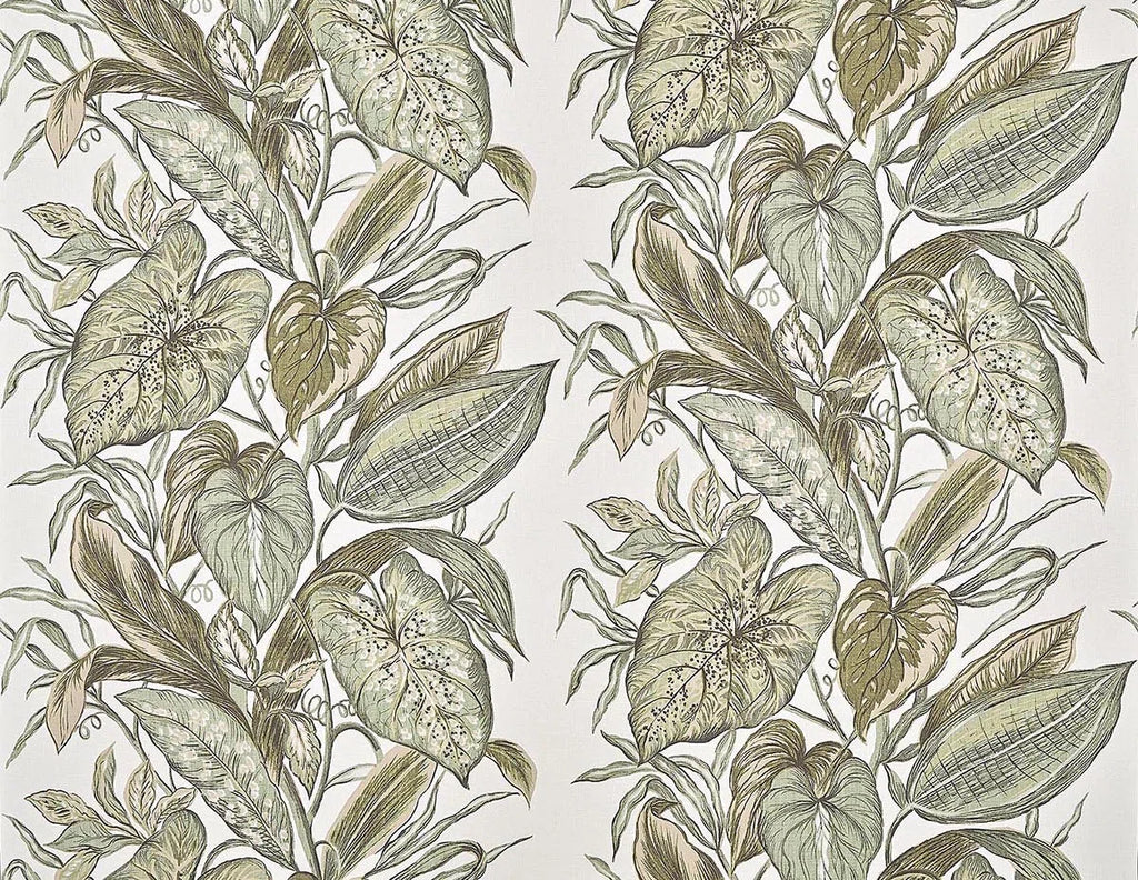 Nassau wallpaper in AGAVE