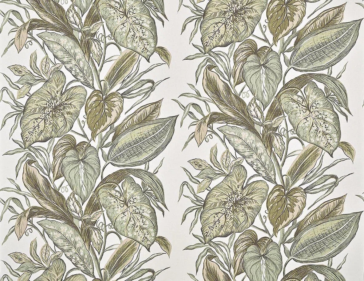 Nassau wallpaper in AGAVE