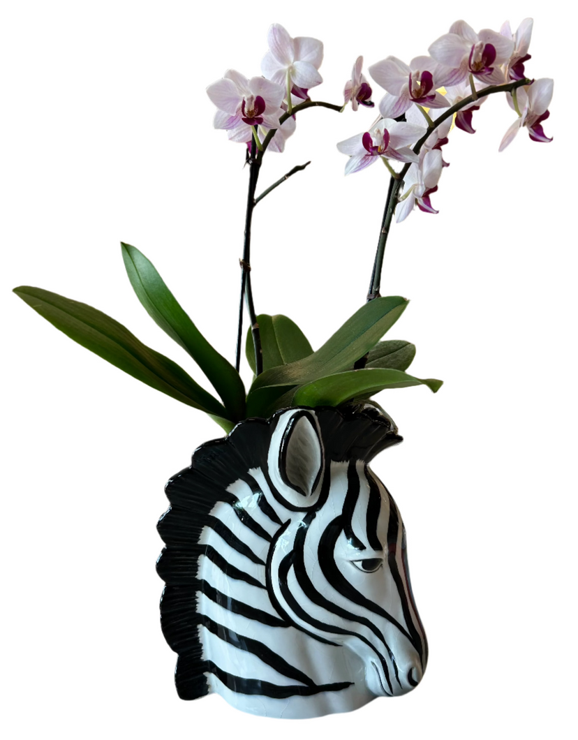 fitz & floyd zebra head vase