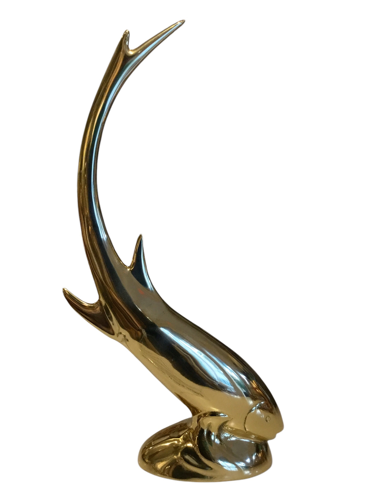 bronzed fish
