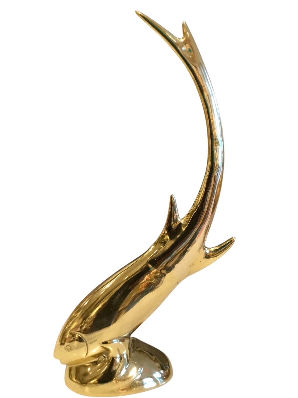 bronzed fish