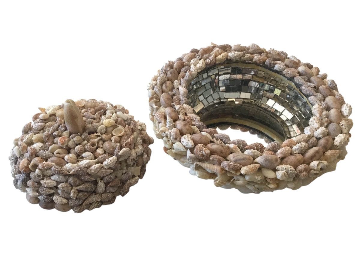 sea shell bowl with lid
