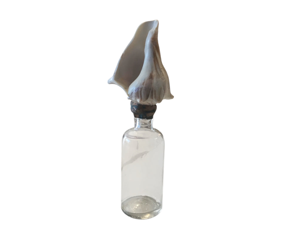 vintage glass medical bottle with conch shell