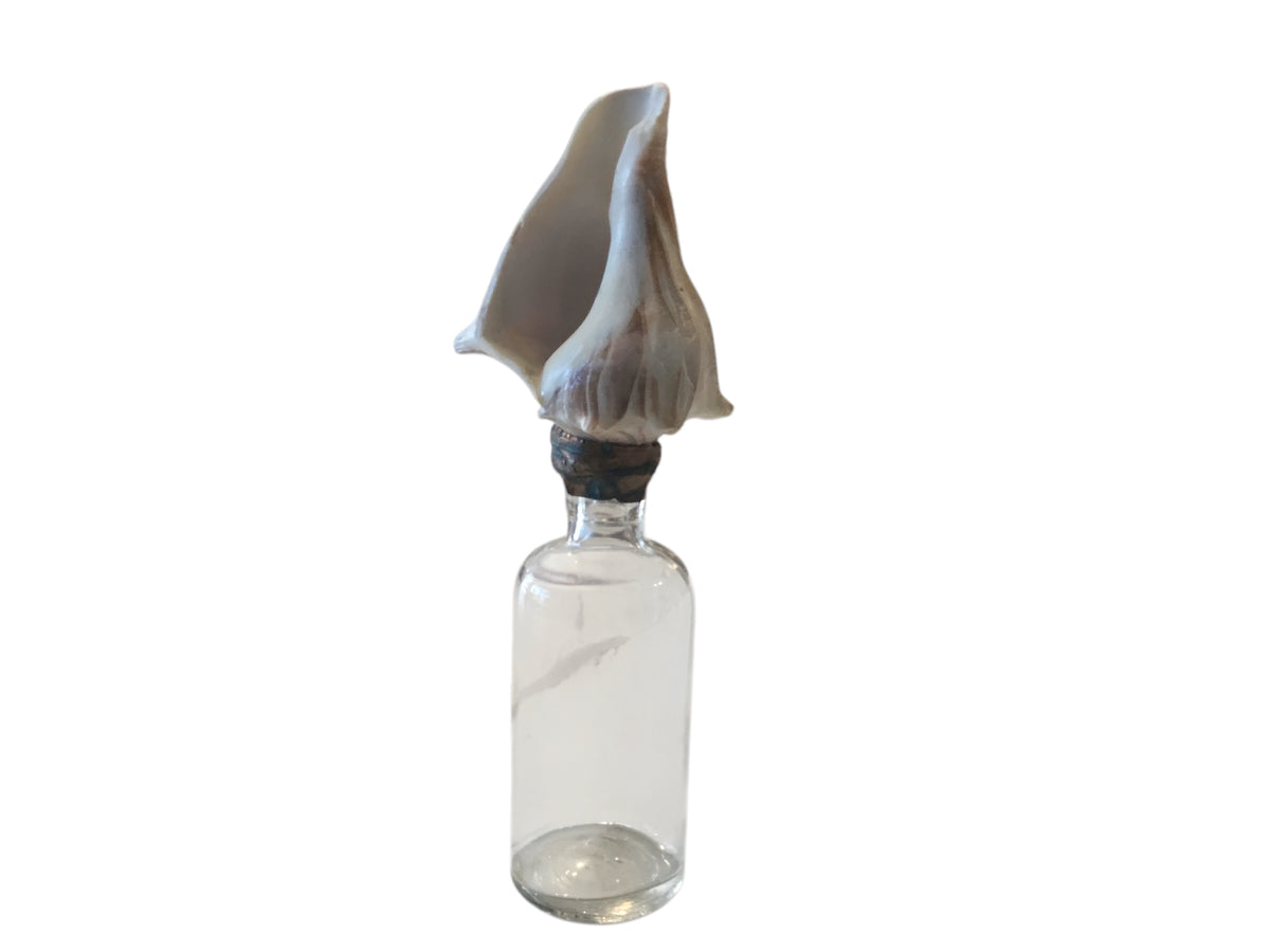 vintage glass medical bottle with conch shell