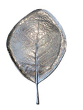 large silver leaf