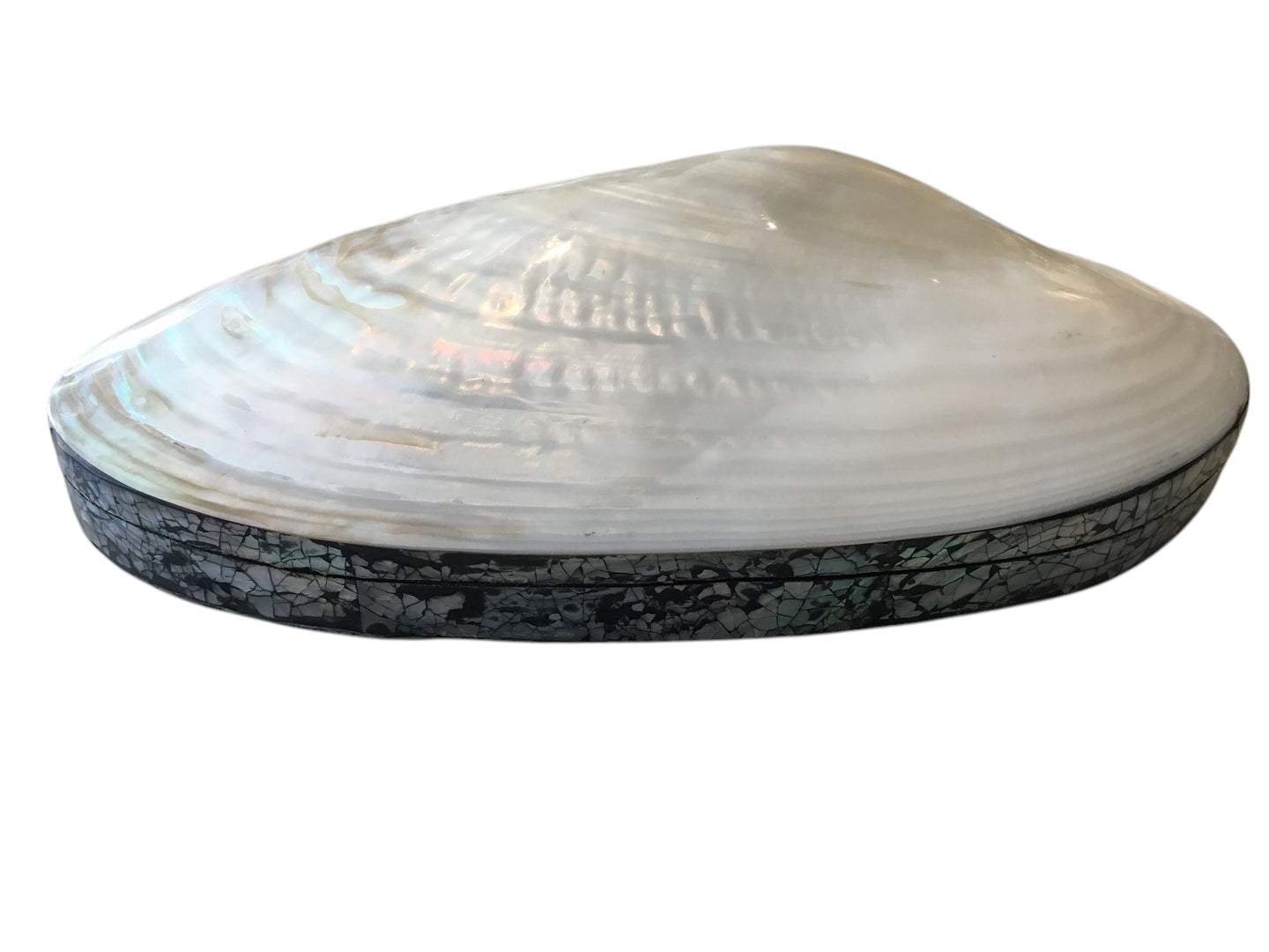 MOTHER OF PEARL SHELL BOX