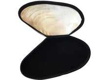 Load image into Gallery viewer, MOTHER OF PEARL SHELL BOX