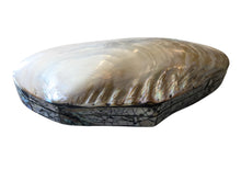 Load image into Gallery viewer, MOTHER OF PEARL SHELL BOX