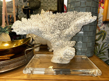 Load image into Gallery viewer, natural coral on acrylic base