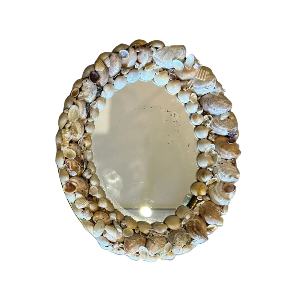 oval shell mirror