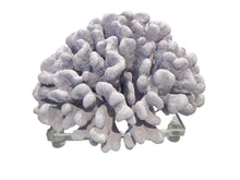 Load image into Gallery viewer, purple coral on acrylic